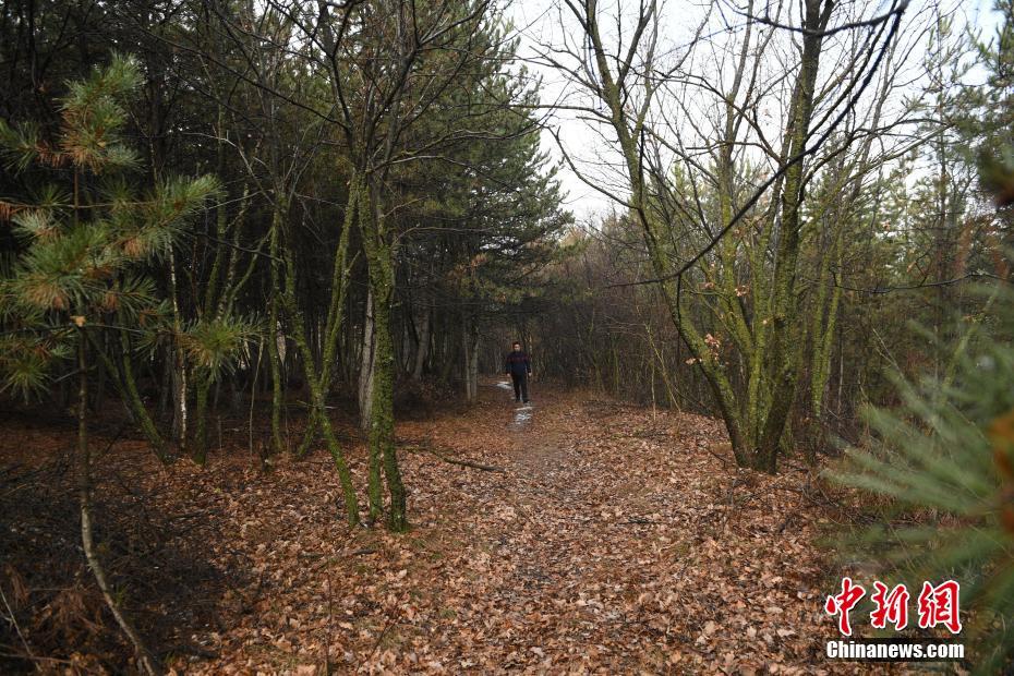 解鎖江蘇鹽城“新年檔” 風俗美食濕地游質優價廉