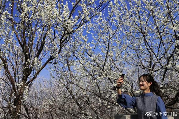 【青娛樂國產(chǎn)視頻】2025年這些太空探究大事值得重視