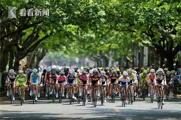 證券基金保險公司交換便當終究有何用？