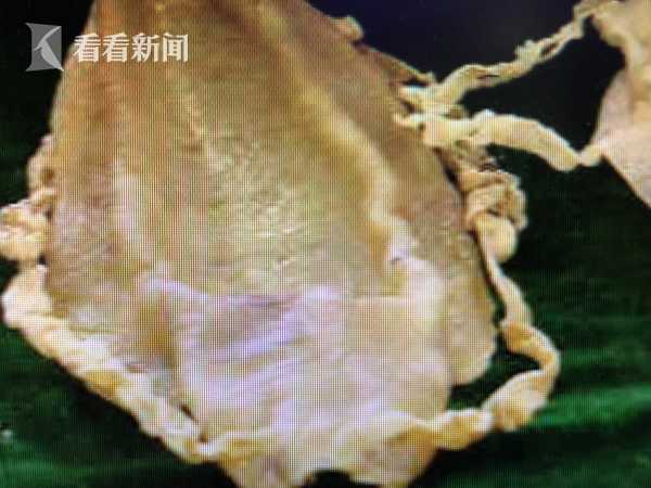 【國產第一福利】河南蛇年新年大數據:大年初一 68%在豫春節人員出門玩耍購物|立方稀有