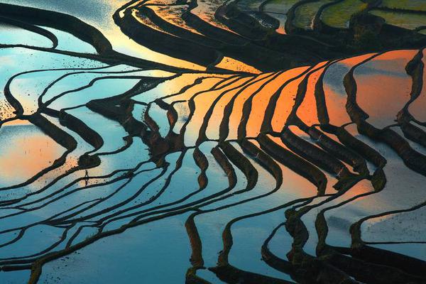 【國產(chǎn)精品日韓】國債期貨收盤團體上漲 30年期主力合約漲0.74%