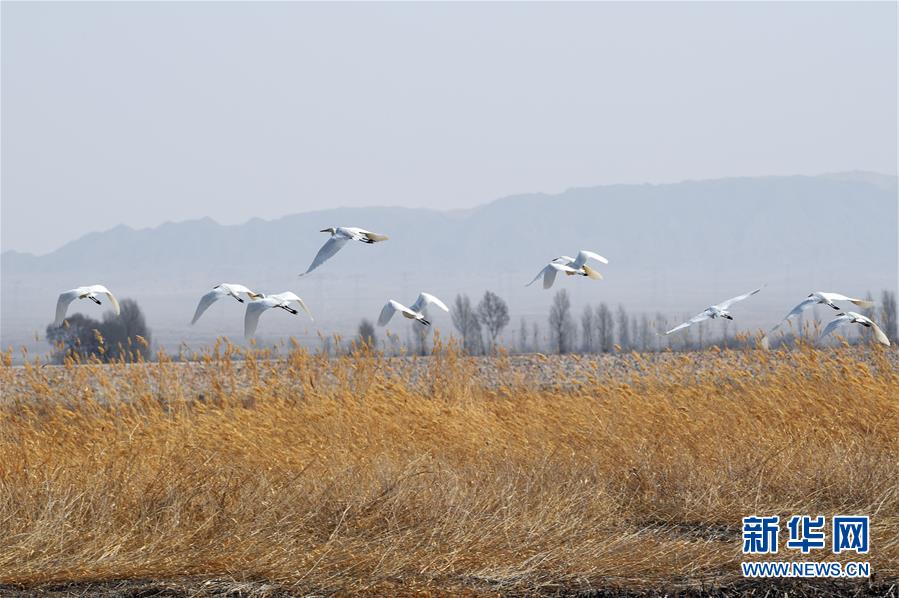 【園區有話說】打卡文明新地標 西什庫31號文創園