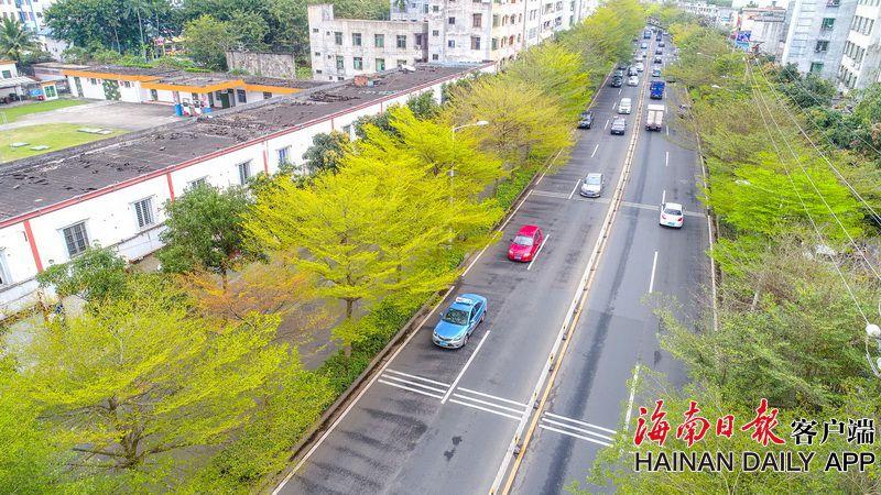 【國(guó)產(chǎn)九九熱】【光亮藝評(píng)】《小小的我》:苔花如米小,也期望被看見