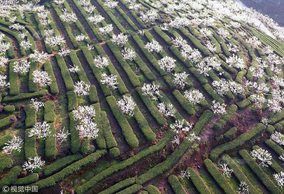 【國產成人綜合視頻】+16%、+10%，產值大增！聚酯職業牛市周期敞開？∣“數”看工業之“變”