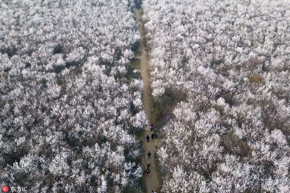 國家統計局：2024年我國動力出產穩步增長，動力供應保證有力
