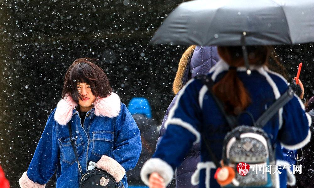 （新春走底層）長三角陰歷乙巳蛇年首趟中歐班列從浙江義烏開出