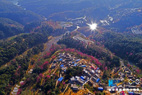 【伊人國產在線】中國經濟展示的耐性彌足珍貴（和音）
