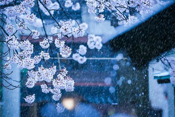 【國(guó)產(chǎn)在線(xiàn)不卡】泉州臺(tái)商投資區(qū):聚多方合力,引金融“活水”,興小微之旺