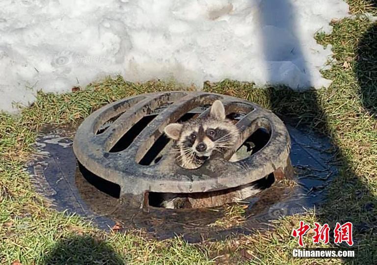 【a國產】美債收益率全線走低,10年期美債收益率跌8.1個基點