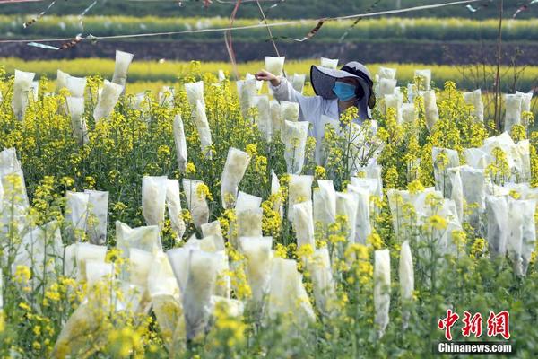 【國產激情小視頻】以太坊跌破3100美元